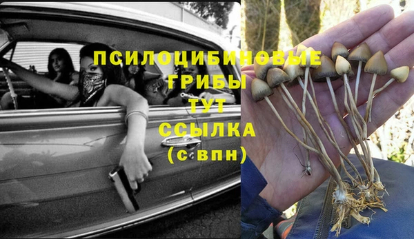 бутират Липки