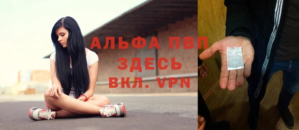 Альфа ПВП Дубна