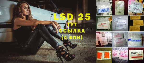 PSILOCYBIN Лихославль