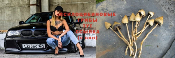 2c-b Дрезна