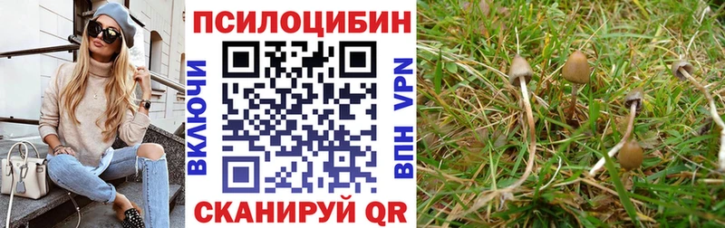 Галлюциногенные грибы ЛСД  магазин  наркотиков  Михайлов 
